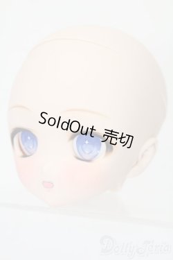 画像3: DD/DDH-27カスタムヘッド(暗黒騎士団様製) S-25-09-28-163-TO-ZS