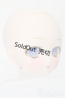 画像4: DD/DDH-27カスタムヘッド(暗黒騎士団様製) S-25-09-28-163-TO-ZS