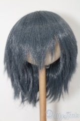 8-9inch/ウィッグ S-25-10-05-127-TO-ZS