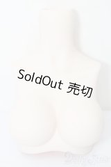 MDD/MDD2.0-B-L-SW:上半身パーツ L胸 S-25-09-28-212-YB-ZS