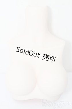 画像1: MDD/MDD2.0-B-L-SW:上半身パーツ L胸 S-25-09-28-212-YB-ZS