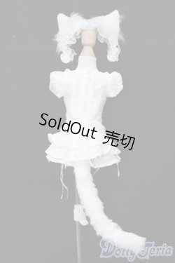 画像3: MDD/OF:衣装セット S-25-09-28-230-YB-ZS