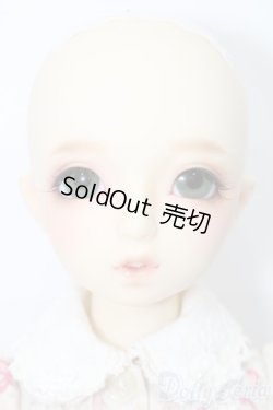 画像3: SDM女の子/まこ　スタンダードモデル S-25-09-28-205-TO-ZS