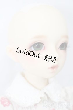 画像5: SDM女の子/まこ　スタンダードモデル S-25-09-28-205-TO-ZS