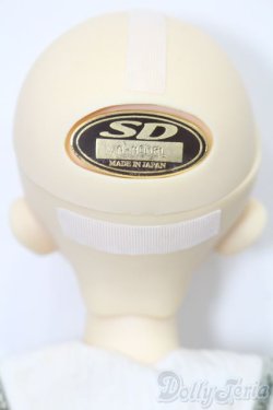 画像5: SDM/コーディネートモデル：F-33女の子 S-25-10-05-052-TO-ZS