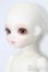 画像2: ROSEN　LIED/TUESDAY’S　CHILD　Charlotte S-25-09-28-206-TO-ZS (2)