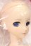 画像4: DD/巡音ルカ S-25-09-28-201-YB-ZS (4)