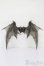 画像1: Fairy Land/FeePle65 Demon Wings(Clear Smoke) S-25-10-05-054-TO-ZS (1)