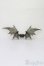 画像2: Fairy Land/FeePle65 Demon Wings(Clear Smoke) S-25-10-05-054-TO-ZS (2)