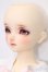 画像4: SD女の子/スタンダードモデル ほのか S-25-10-05-051-TO-ZS