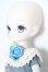 画像3: DOLLCE/ミニスウィーツドール:スノーコシュカ S-25-10-05-134-TO-ZS