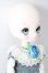 画像4: DOLLCE/ミニスウィーツドール:スノーコシュカ S-25-10-05-134-TO-ZS