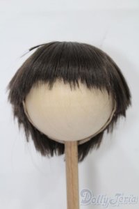 8-9inch/ウィッグ S-25-12-14-368-TO-ZS