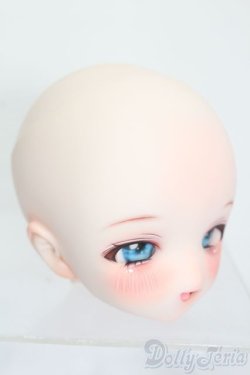 画像3: DD/DDH-01カスタムヘッド(うめよ様製) S-25-10-05-157-TO-ZS