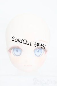 DD/DDH-29カスタムヘッド(mk_yd_Doll様製) S-25-10-05-158-TO-ZS