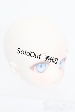 画像3: DD/DDH-29カスタムヘッド(mk_yd_Doll様製) S-25-10-05-158-TO-ZS