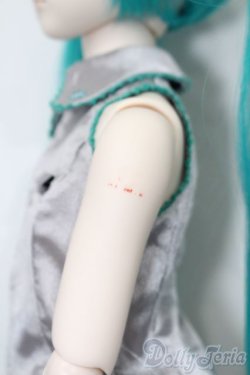 画像9: DD/初音ミク S-25-10-05-201-TO-ZS