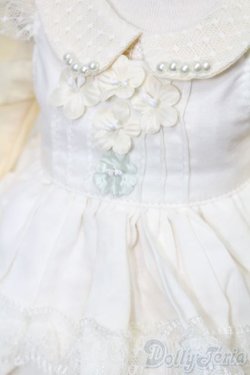 画像4: SD/OF:ドレス S-25-10-26-086-TO-ZS