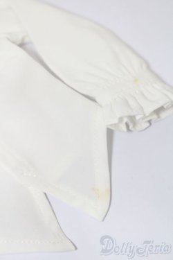 画像7: MSD&SDM/OF ブラックバッカラ・ミニ(VOLKS製) S-25-10-19-195-TO-ZS