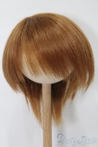 8-9inch/ウィッグ S-25-12-14-370-TO-ZS