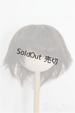 画像1: 8-9inch/ウィッグ S-25-12-28-229-TO-ZS