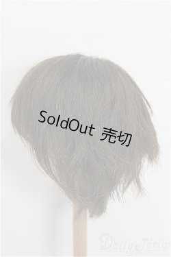 画像2: 8-9inch/ウィッグ S-25-12-28-229-TO-ZS