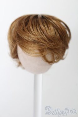 画像1: 4inch/ウィッグ S-25-10-12-222-TO-ZS