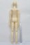 画像6: BJD CROBI/L.J S-25-10-26-253-NY-ZS (6)
