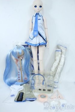 画像6: DD/雪ミク Y-25-11-05-027-TO-ZY