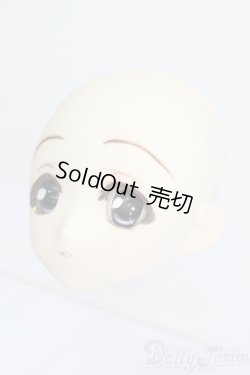 画像2: PARABOX/PB-6006Bヘッドのみ S-26-01-25-385-TO-ZS