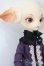 画像4: Dollzone/Miss Kitty S-25-10-12-154-TO-ZS