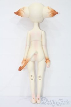 画像9: Dollzone/Miss Kitty S-25-11-23-539-TO-ZS