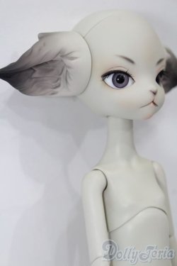 画像3: Dollzone/Miss Kitty S-25-11-23-547-TO-ZS