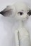 画像3: Dollzone/Miss Kitty S-25-10-12-153-TO-ZS