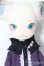 画像2: DOLK×DOLL ZONE/Mini Kitty Twinkle Star S-25-10-12-155-TO-ZS (2)