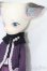画像3: DOLK×DOLL ZONE/Mini Kitty Twinkle Star S-25-10-12-155-TO-ZS