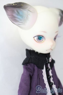 画像4: DOLK×DOLL ZONE/Mini Kitty Twinkle Star S-25-11-23-538-TO-ZS