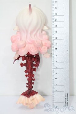 画像6: BonBon Galaxy/骨? S-25-11-23-595-TO-ZS