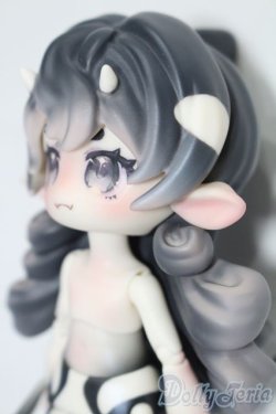 画像3: BONDBON GALAXY/虎?(シャチ) S-25-11-23-594-TO-ZS