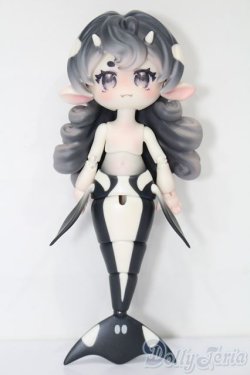 画像5: BONDBON GALAXY/虎?(シャチ) S-25-11-23-594-TO-ZS