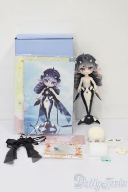 画像7: BONDBON GALAXY/虎?(シャチ) S-25-11-23-594-TO-ZS