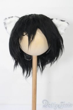 画像1: 9〜10inch/ボアウィッグ S-25-10-12-242-TO-ZS