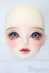 SWITCH/LILIヘッド S-25-11-23-554-NY-ZS