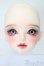 画像1: SWITCH/LILIヘッド S-25-10-19-058-NY-ZS (1)