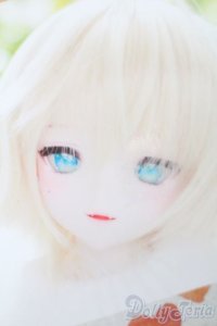 DD/DDH-09カスタムヘッド(きっこりぃ様製) S-25-10-19-154-TO-ZS