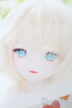 画像1: DD/DDH-09カスタムヘッド(きっこりぃ様製) S-25-10-19-154-TO-ZS