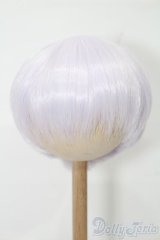 8-9inch/ウィッグ S-25-10-26-149-TO-ZS