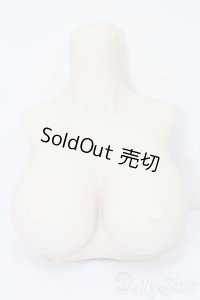 DD/ラジカル様製パーツ S-25-10-19-155-TO-ZS