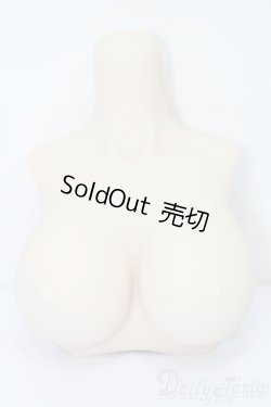 画像1: DD/ラジカル様製パーツ S-25-10-19-155-TO-ZS