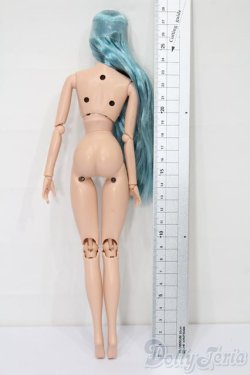 画像2: 1/6ドール/ボークス製ボディ S-25-10-19-201-YB-ZS